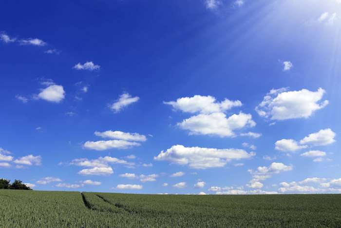 Green field under a blue sky with clouds