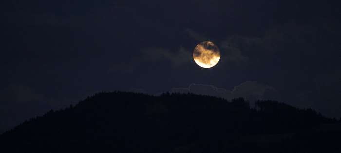Full moon over a dark forest silhouette