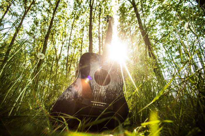 Acoustic guitar in a forest with sunlight