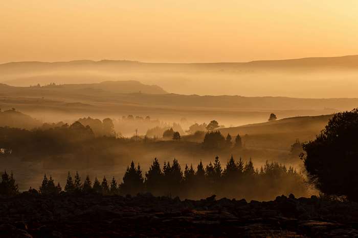 Misty valley with trees and hills at sunrise 4K