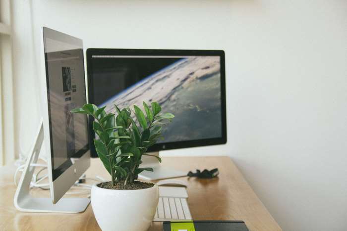 Apple iMac and Monitor Workspace with Plant
