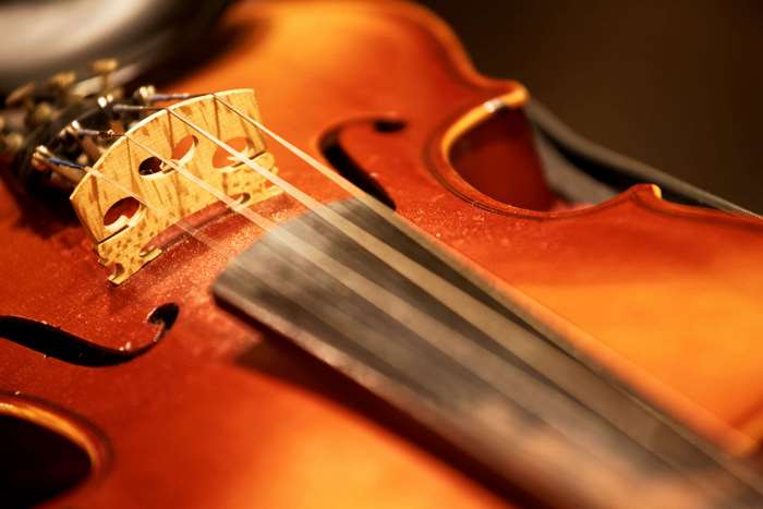Violin strings and bridge
