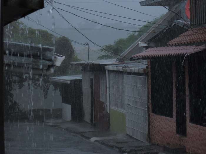 Rainy street with houses and power lines