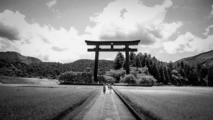 Torii gate in a Japanese countryside with rice fields