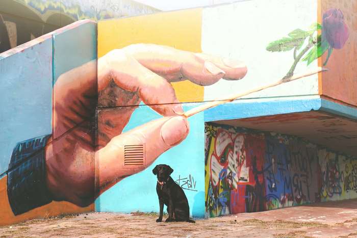 Black Labrador dog sits in front of a large mural of a hand holding a flower stem