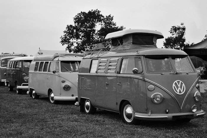 Line of vintage Volkswagen camper vans parked on grass