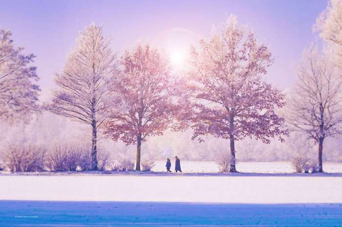 Couple walking in a frosty winter landscape with trees