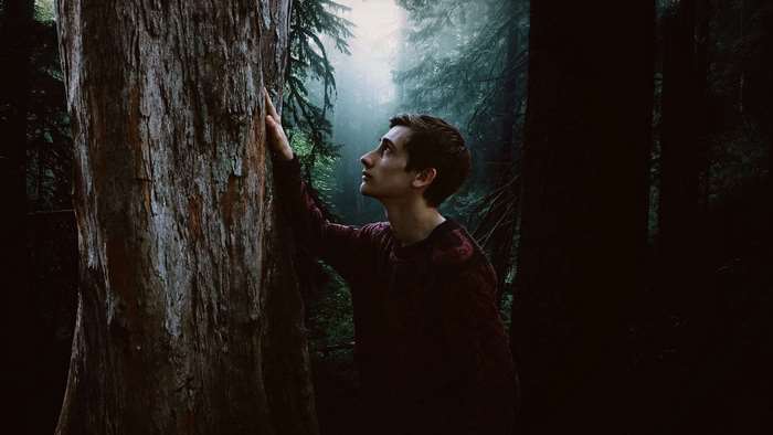 Young man looking up in a foggy forest