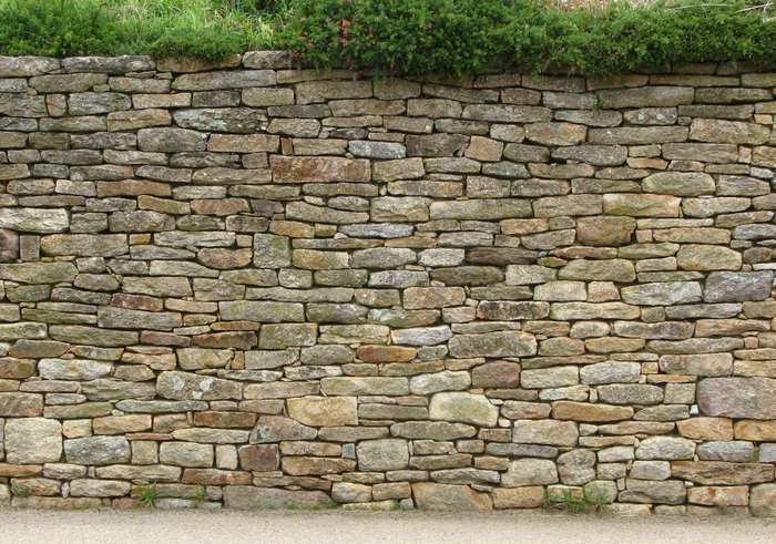 Stone wall with green foliage on top