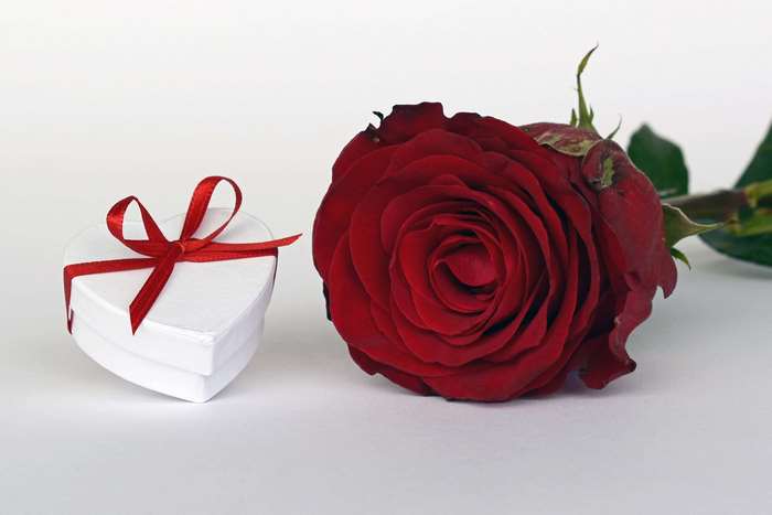 Red rose and heart-shaped gift box