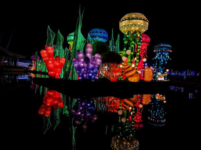 Underwater Lantern Display Reflected in Water