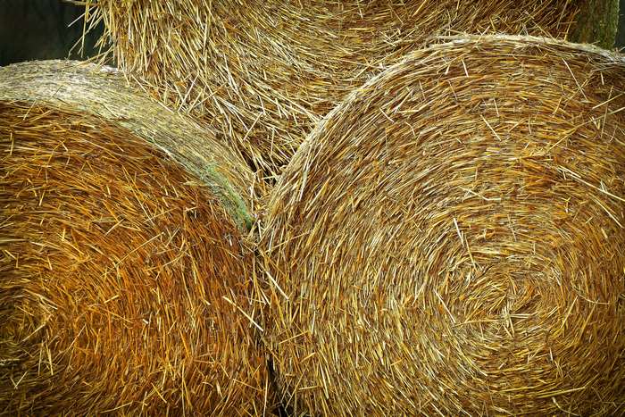 Close up of stacked round hay bales