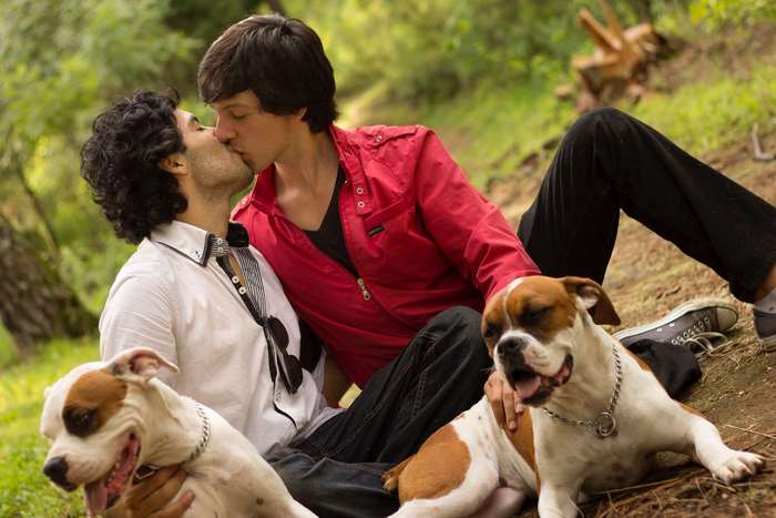 Couple Sharing a Kiss in the Forest with Dogs