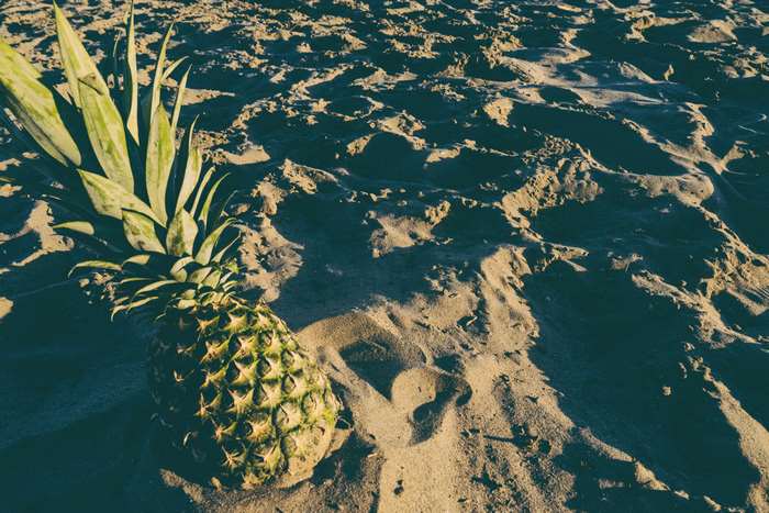 Pineapple on a sandy beach at sunset