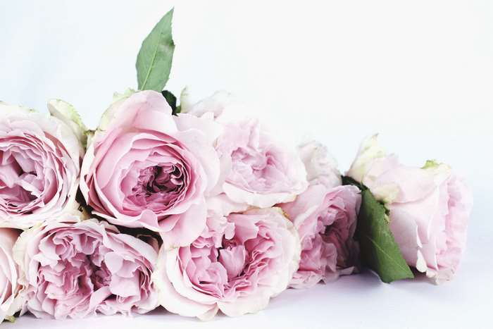 Pink David Austin Roses Bouquet
