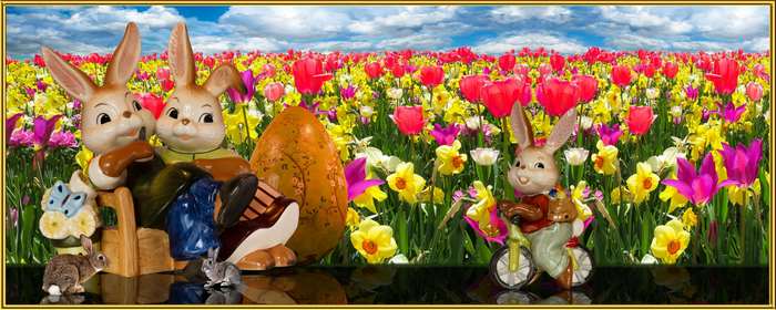 Easter Bunnies and Egg in a Field of Tulips and Daffodils