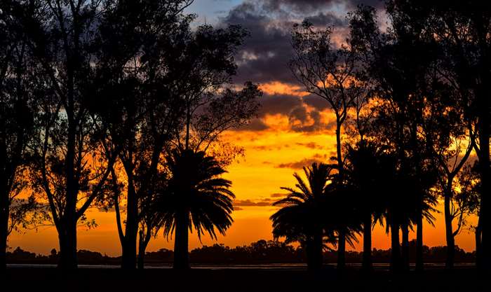 Palm trees silhouetted against a sunset over a laguna