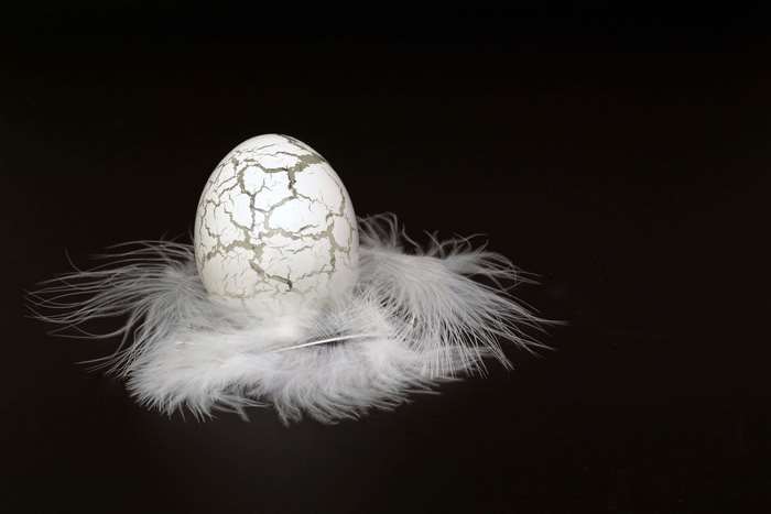 Cracked white Easter egg on white feathers