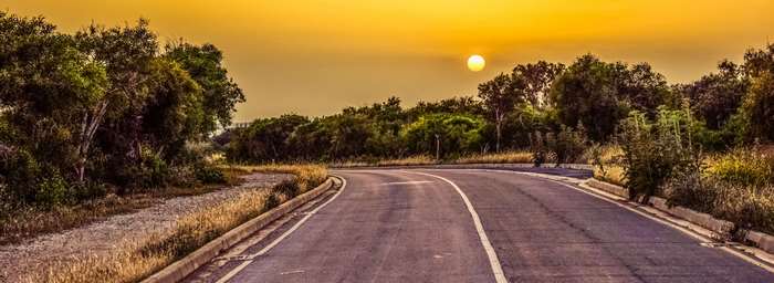 Asphalt road curving through trees at sunset