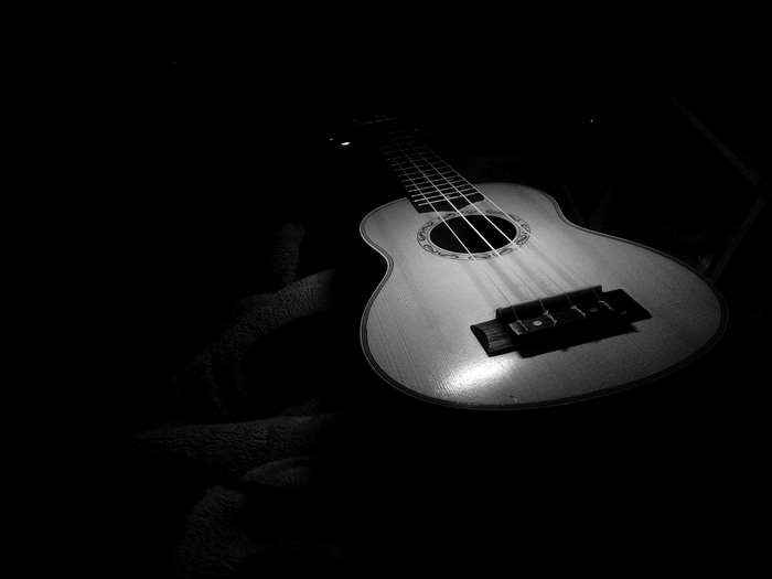Black and white ukulele with strings