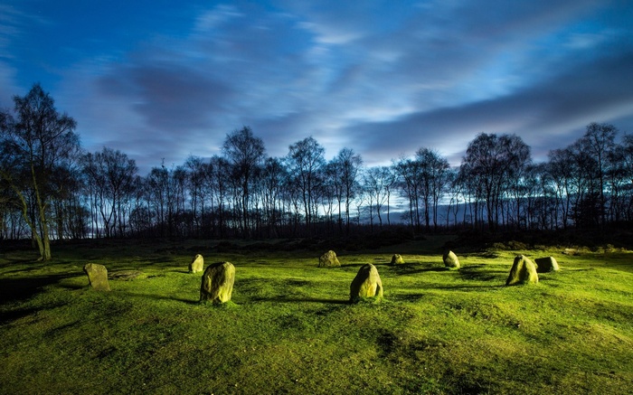 Standing stones in a field at dusk