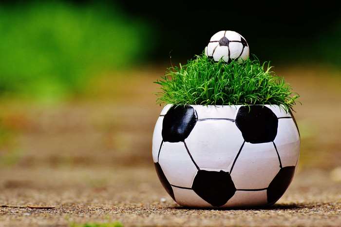 Football planter with grass and small ball