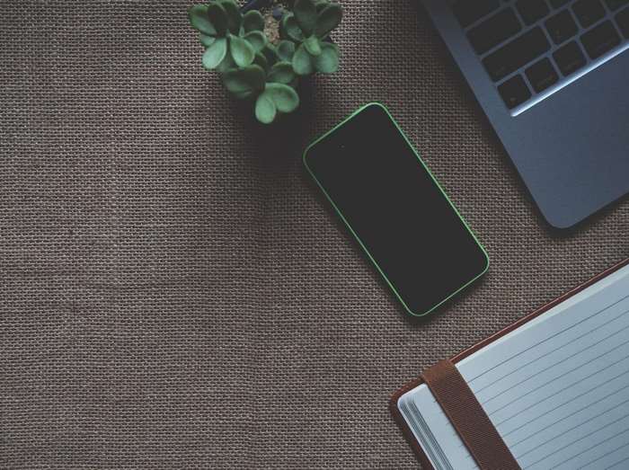 Laptop, smartphone, notebook, and potted plant on a table