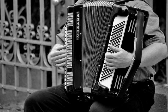 Musician playing HOHNER accordion