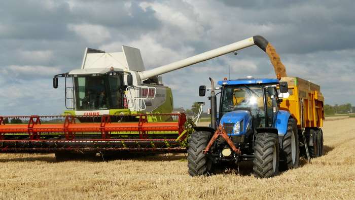 Combine harvester and tractor harvesting grain in a field