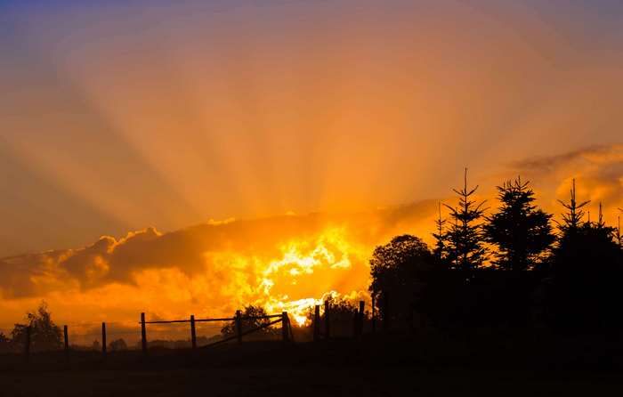 Sunset with sunbeams over a silhouetted fence and trees