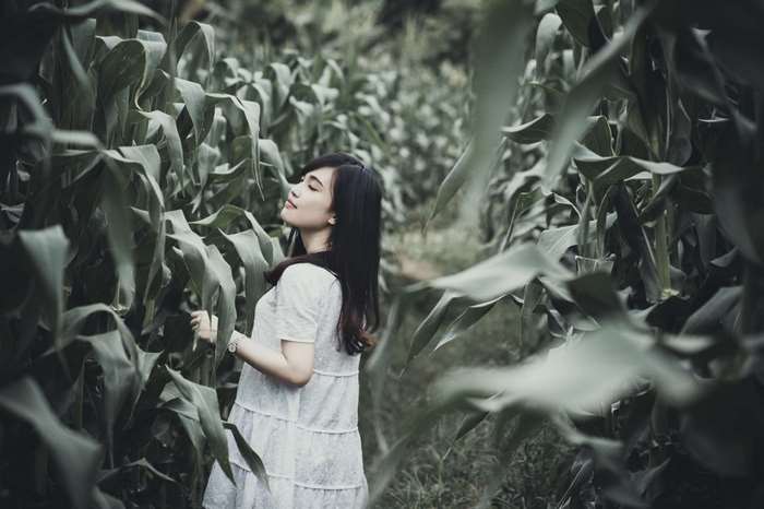 Woman in white dress in corn field 4K