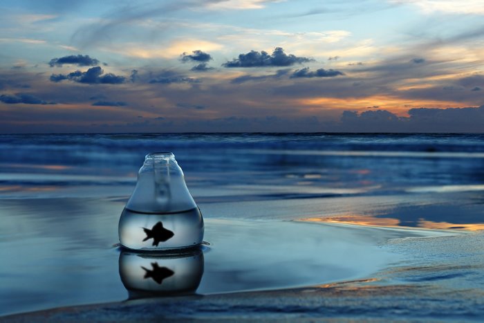Lonely Goldfish in Glass Jar at Sunset Beach