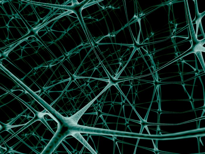 Abstract network of interconnected neurons