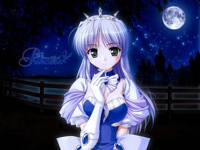 Beautiful Princess Under a Bright Moonlit Night