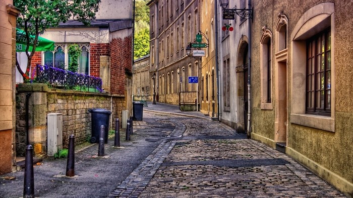 Cobblestone alley with old buildings and trees