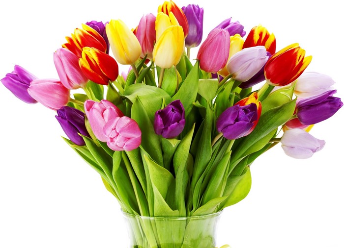 Colorful bouquet of tulips in a glass vase