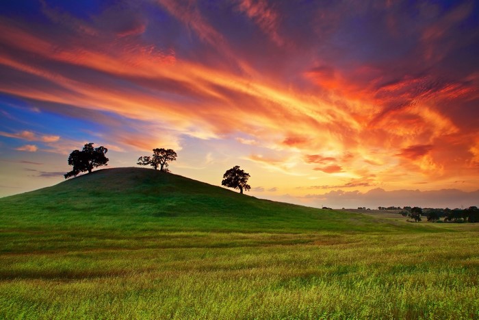 California Sunset Over Rolling Hills with Oak Trees