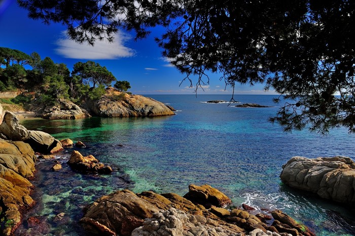Rocky Coastline with Turquoise Water in Costa Brava, Spain