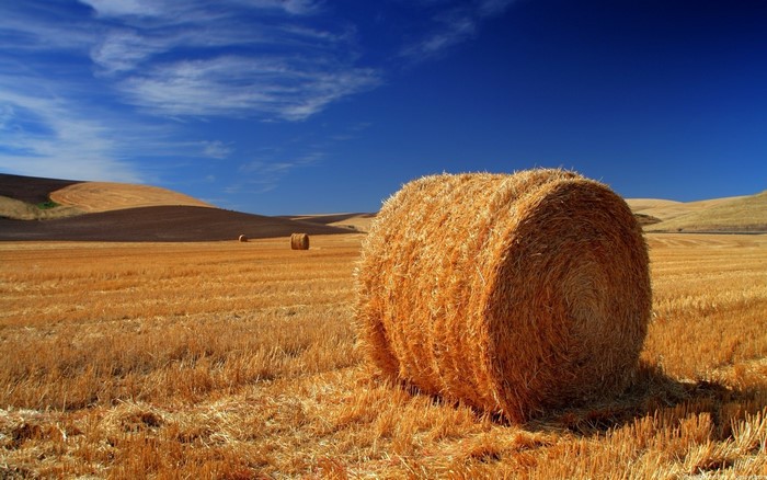 Golden Hay Bale in Sunlit Field Under Blue Sky