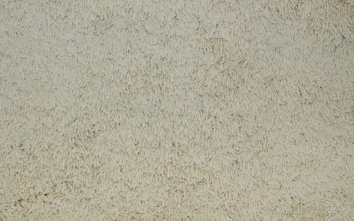 Close-up of a textured beige carpet or rug