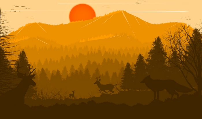 Deer and fox in a forest at sunset