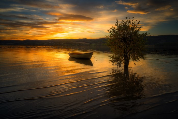 Serene Lake Sunset with Small Boat and Tree