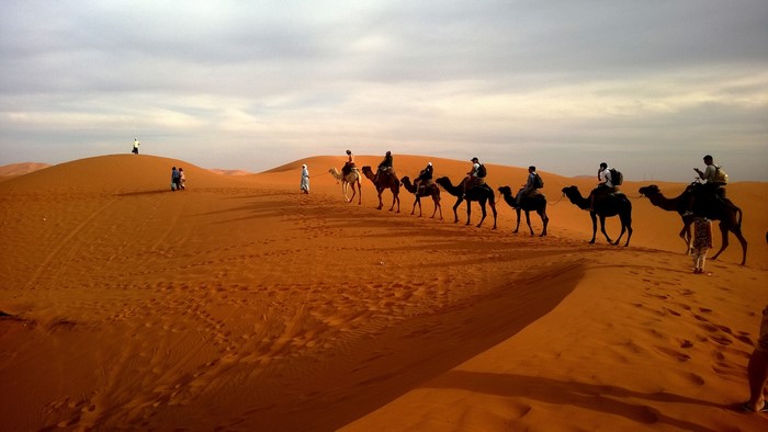 Camel caravan crossing desert sand dunes