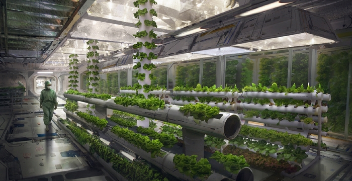 Scientist in a futuristic hydroponic farm