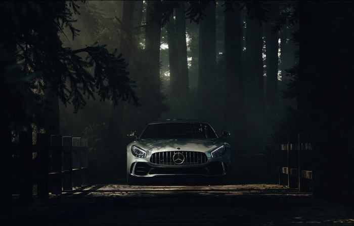 Silver Mercedes-Benz AMG GT in a Forest