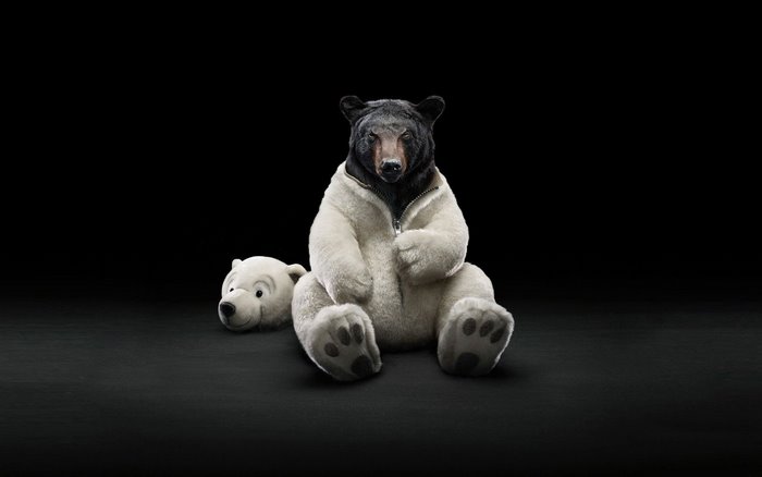Bear in a costume with a detached polar bear head