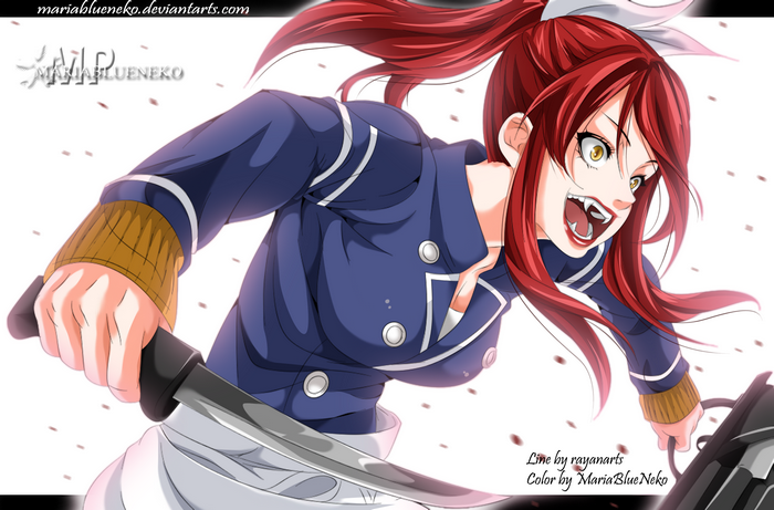 Erza Scarlet from Fairy Tail