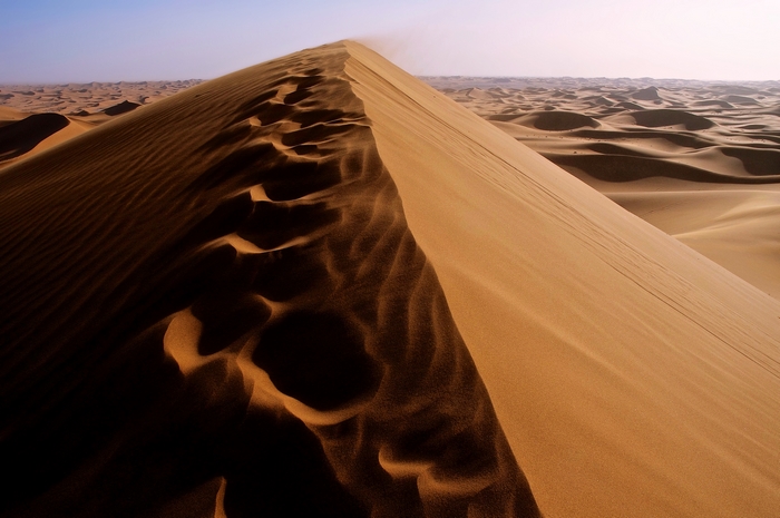 Footprints on a sand dune in the Sahara Desert, Algeria