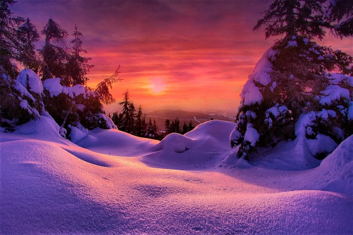 Winter Sunset over Snowy Landscape