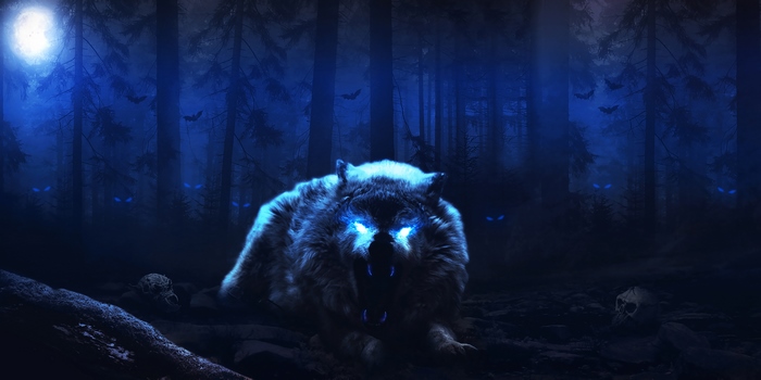 Wolf with glowing eyes in a dark forest at night